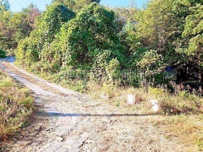 경기도 광주시 남종면 수청리 깊은산속 토지_15