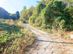 경기도 광주시 남종면 수청리 깊은산속 토지_썸네일_16