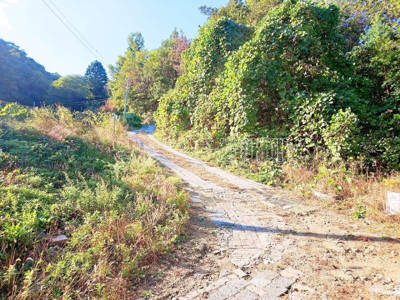 경기도 광주시 남종면 수청리 깊은산속 토지_16