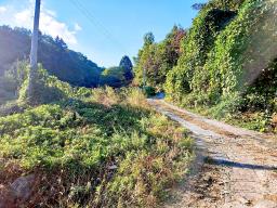 경기도 광주시 남종면 수청리 깊은산속 토지_썸네일_17