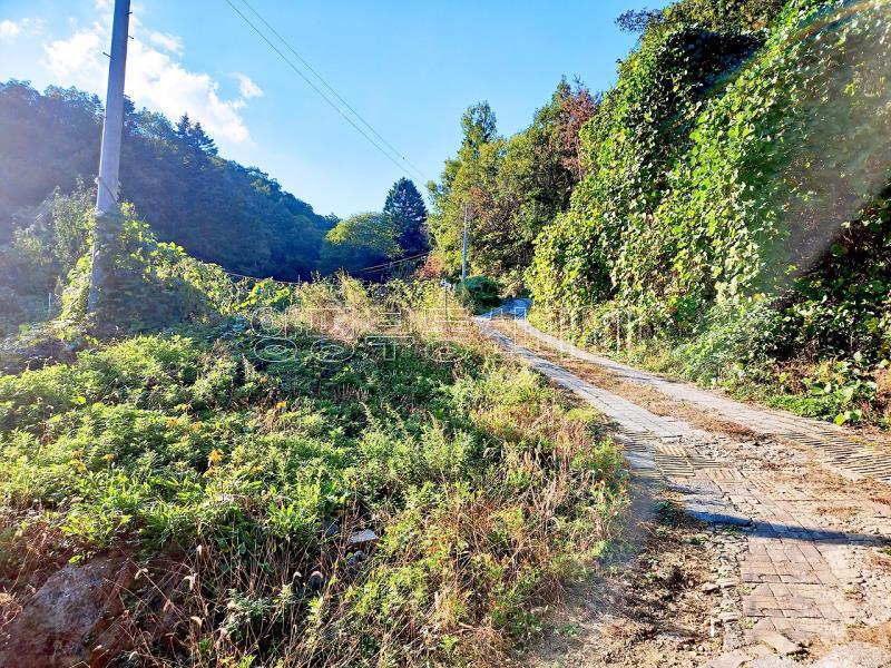 경기도 광주시 남종면 수청리 깊은산속 토지_17