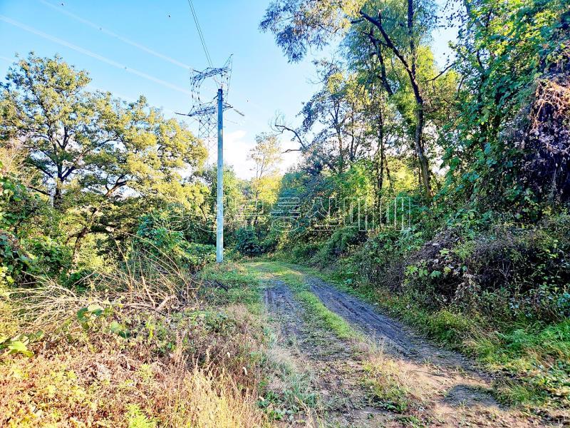 경기도 광주시 남종면 수청리 깊은산속 토지_18