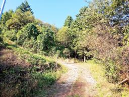 경기도 광주시 남종면 수청리 깊은산속 토지_썸네일_19