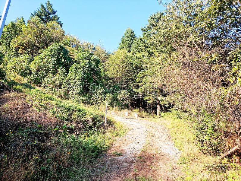 경기도 광주시 남종면 수청리 깊은산속 토지_19