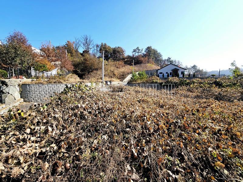 양평군 양서면 복포리 먼 강조망되는 토지_1