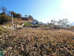 양평군 양서면 복포리 먼 강조망되는 토지_썸네일_2