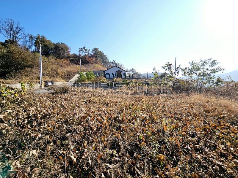 양평군 양서면 복포리 먼 강조망되는 토지_2