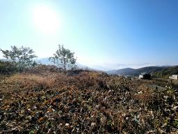 양평군 양서면 복포리 먼 강조망되는 토지_썸네일_3