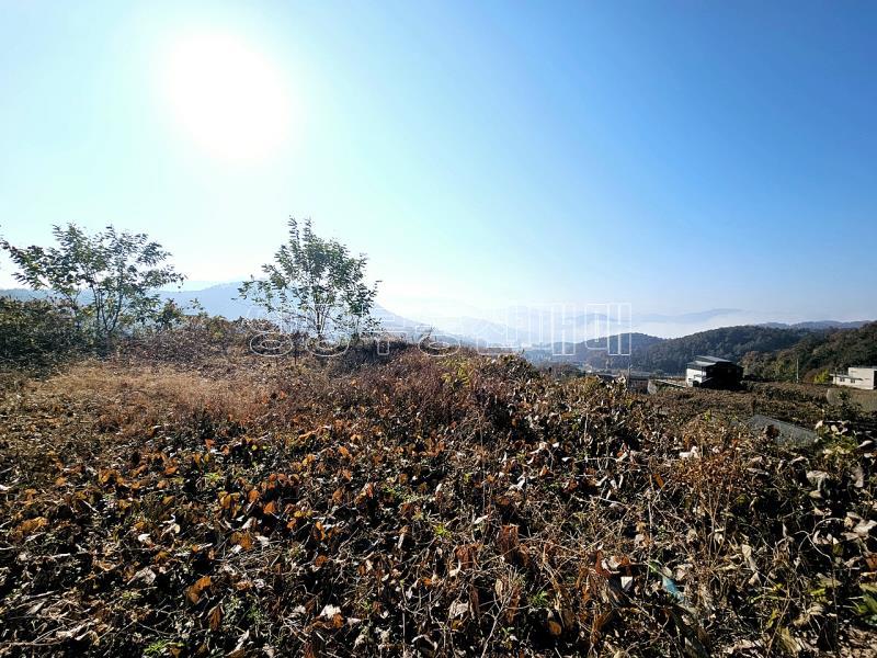 양평군 양서면 복포리 먼 강조망되는 토지_3