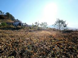 양평군 양서면 복포리 먼 강조망되는 토지_썸네일_4