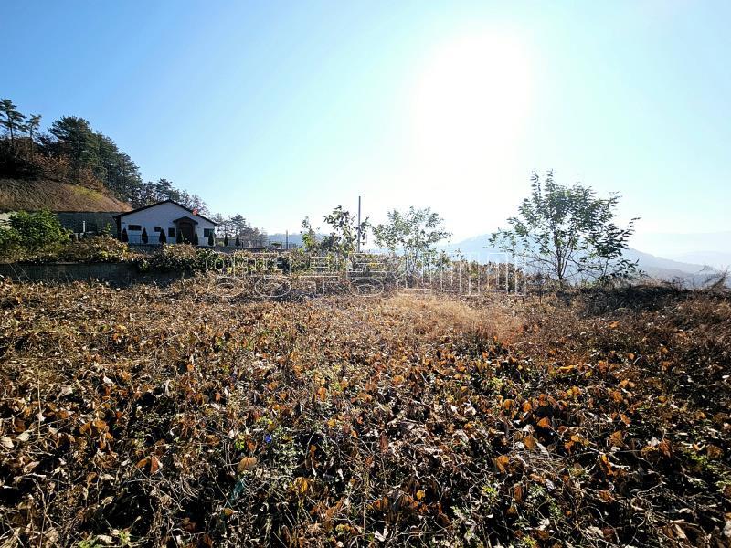 양평군 양서면 복포리 먼 강조망되는 토지_4