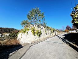 양평군 양서면 복포리 먼 강조망되는 토지_썸네일_5