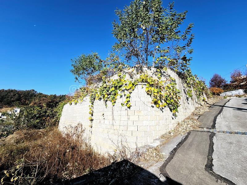 양평군 양서면 복포리 먼 강조망되는 토지_6