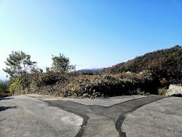 양평군 양서면 복포리 먼 강조망되는 토지_썸네일_8