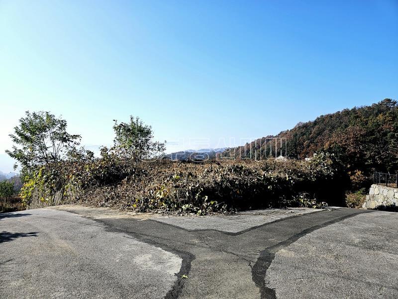 양평군 양서면 복포리 먼 강조망되는 토지_8