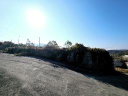 양평군 양서면 복포리 먼 강조망되는 토지_썸네일_10