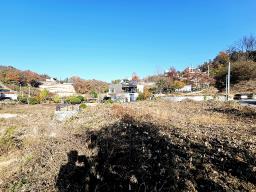 양평군 양서면 복포리 먼 강조망되는 토지_썸네일_15