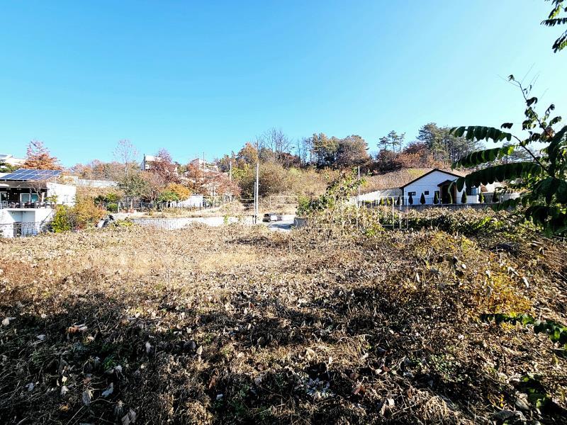 양평군 양서면 복포리 먼 강조망되는 토지_16