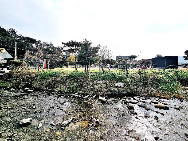 양평군 옥천면 용천리 임야_2