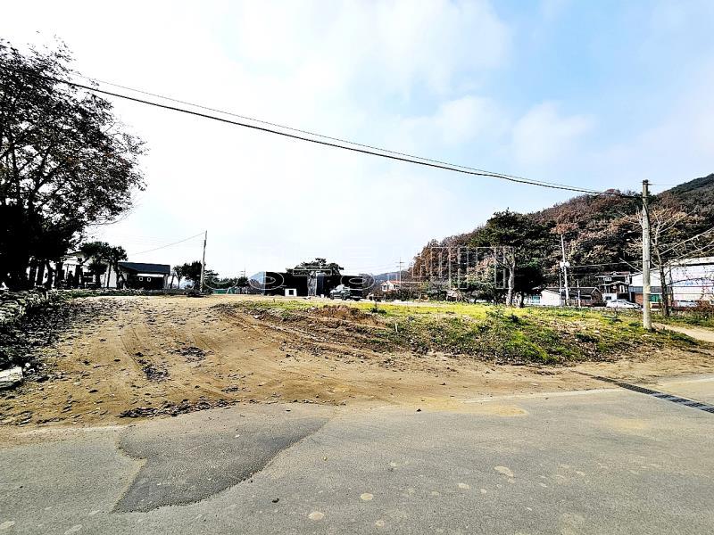 양평군 옥천면 용천리 임야_9