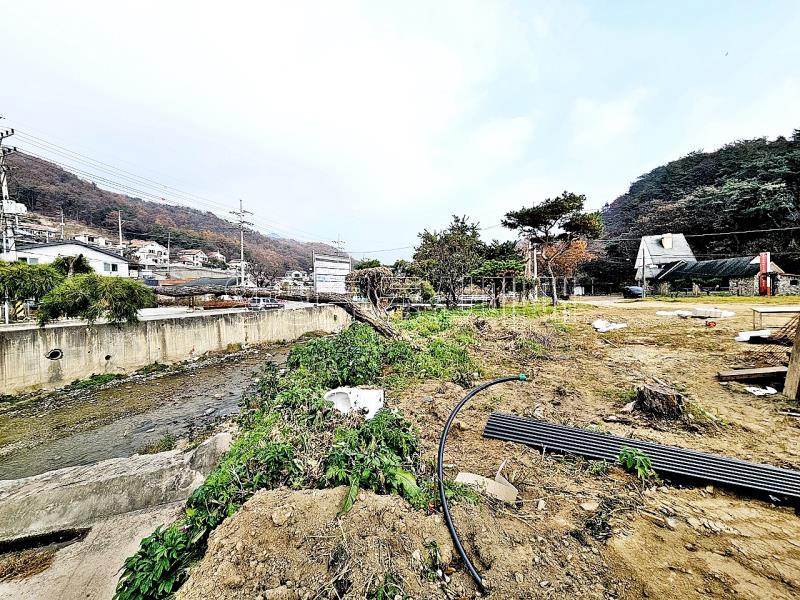 양평군 옥천면 용천리 임야_12