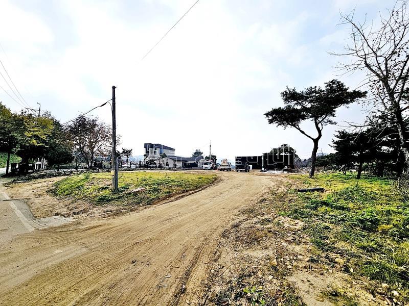 양평군 옥천면 용천리 임야_15