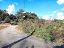 경기도 광주시 퇴촌면 강조망토