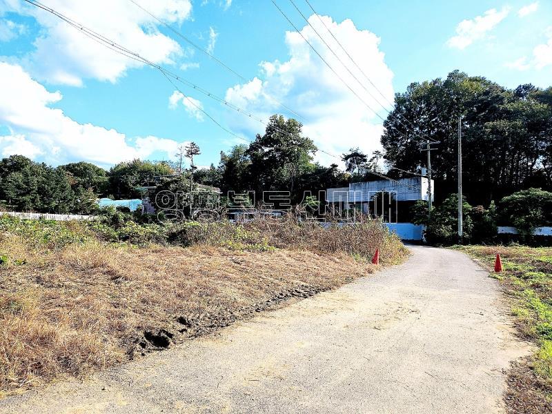 경기도 광주시 퇴촌면 강조망토_2