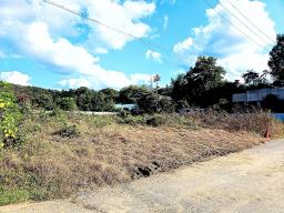 경기도 광주시 퇴촌면 강조망토_썸네일_3