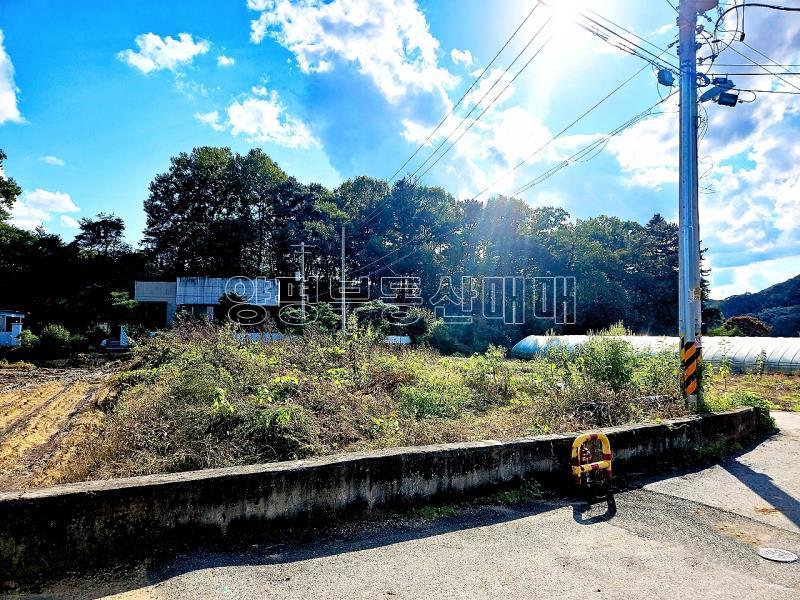 경기도 광주시 퇴촌면 강조망토_6