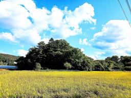 경기도 광주시 퇴촌면 강조망토_썸네일_7