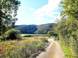 경기도 광주시 퇴촌면 강조망토_썸네일_8