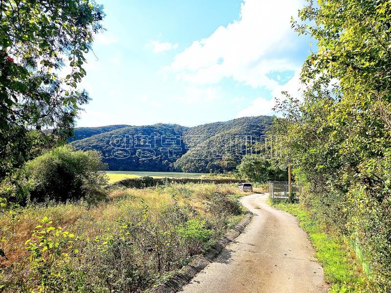 경기도 광주시 퇴촌면 강조망토_8