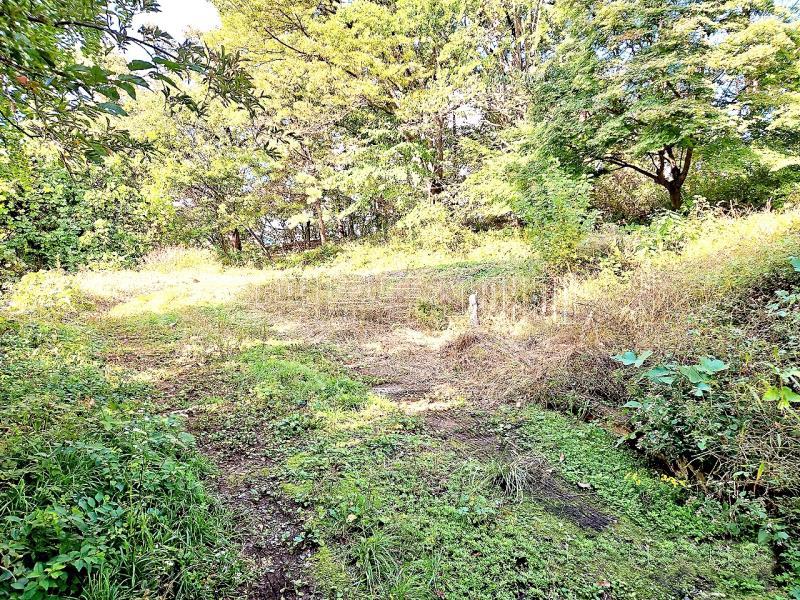 경기도 광주시 퇴촌면 강조망토_9