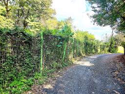 경기도 광주시 퇴촌면 강조망토_썸네일_10