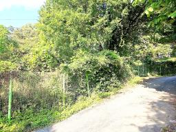 경기도 광주시 퇴촌면 강조망토_썸네일_12