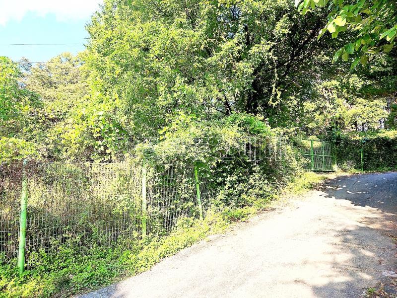 경기도 광주시 퇴촌면 강조망토_12