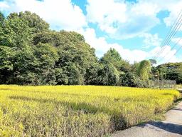 경기도 광주시 퇴촌면 강조망토_썸네일_14