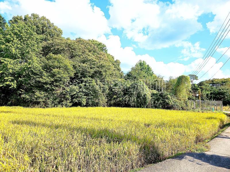 경기도 광주시 퇴촌면 강조망토_14