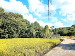 경기도 광주시 퇴촌면 강조망토_썸네일_15