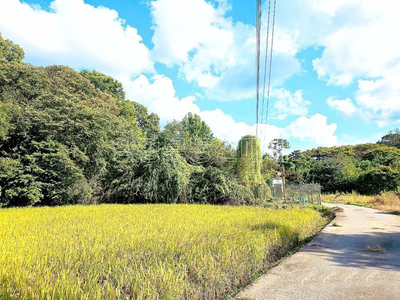 경기도 광주시 퇴촌면 강조망토_15