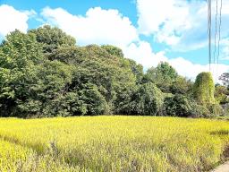 경기도 광주시 퇴촌면 강조망토_썸네일_16