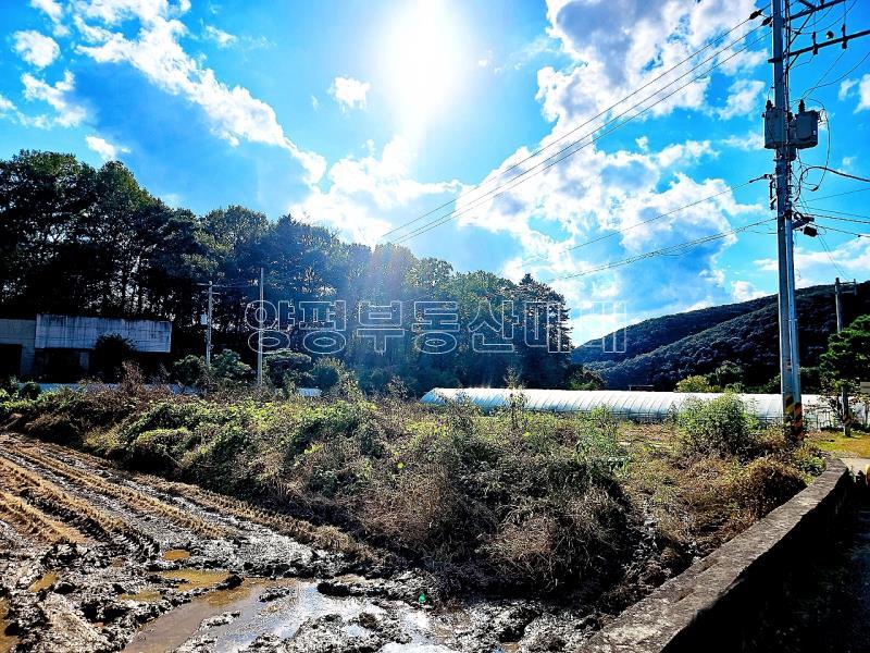 경기도 광주시 퇴촌면 강조망토_20