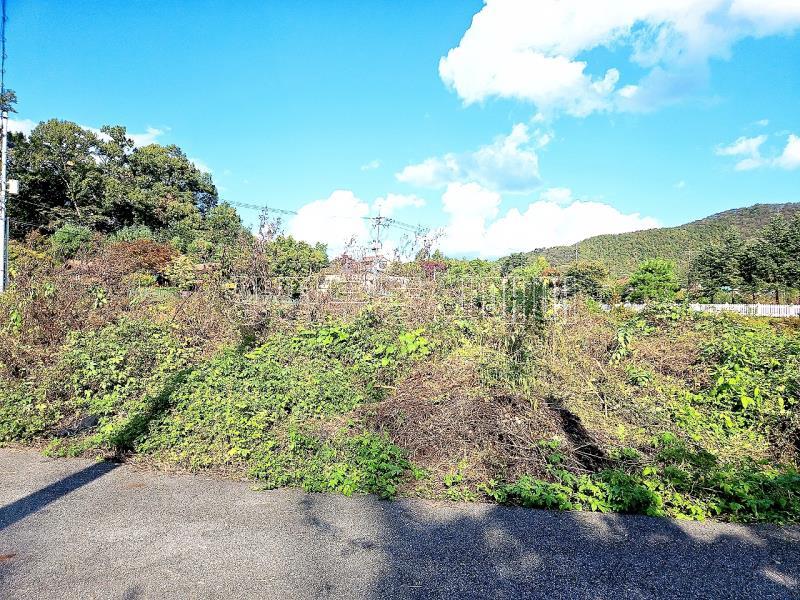 경기도 광주시 퇴촌면 강조망토_22