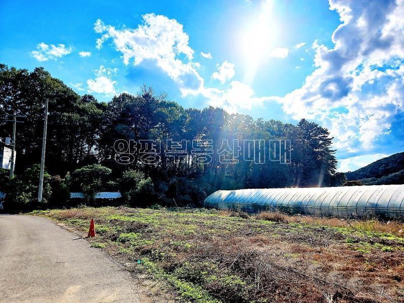 경기도 광주시 퇴촌면 강조망토_24