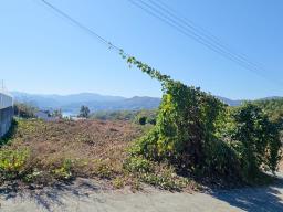 양평군 양서면 대심리 강조망 과 접근성이 좋은 토지_썸네일_2