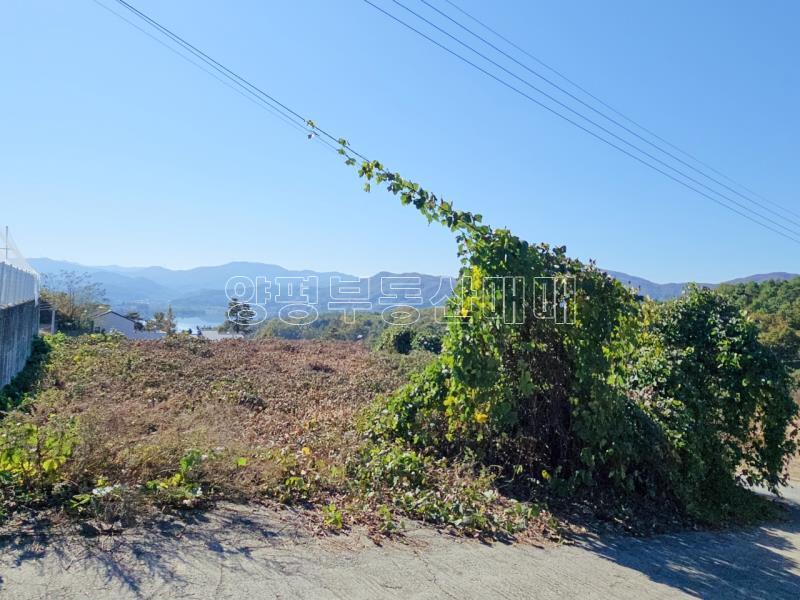 양평군 양서면 대심리 강조망 과 접근성이 좋은 토지_2