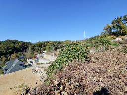 양평군 양서면 대심리 강조망 과 접근성이 좋은 토지_썸네일_3