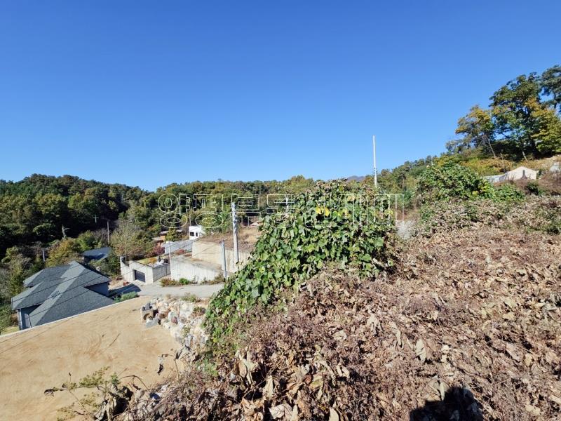 양평군 양서면 대심리 강조망 과 접근성이 좋은 토지_3