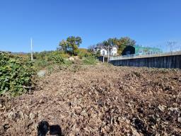 양평군 양서면 대심리 강조망 과 접근성이 좋은 토지_썸네일_4